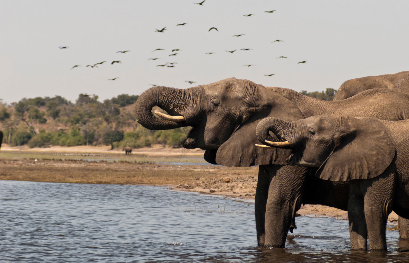 Botswana